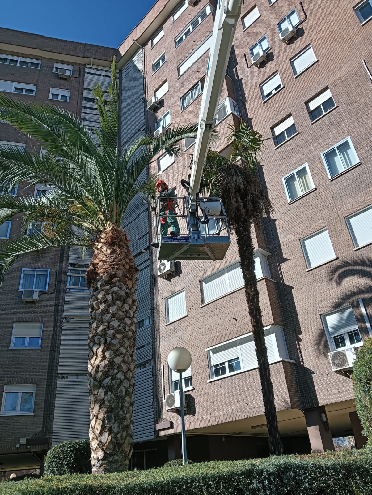 Jardinería y mantenimiento